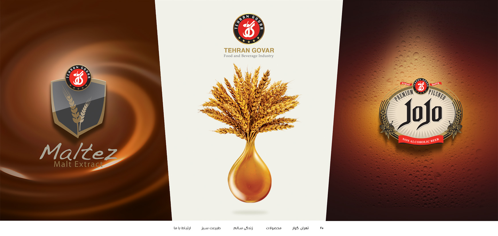 وب سایت شرکت تهران گوار