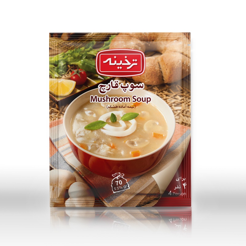 طراحی بستنه بندی ترخینه