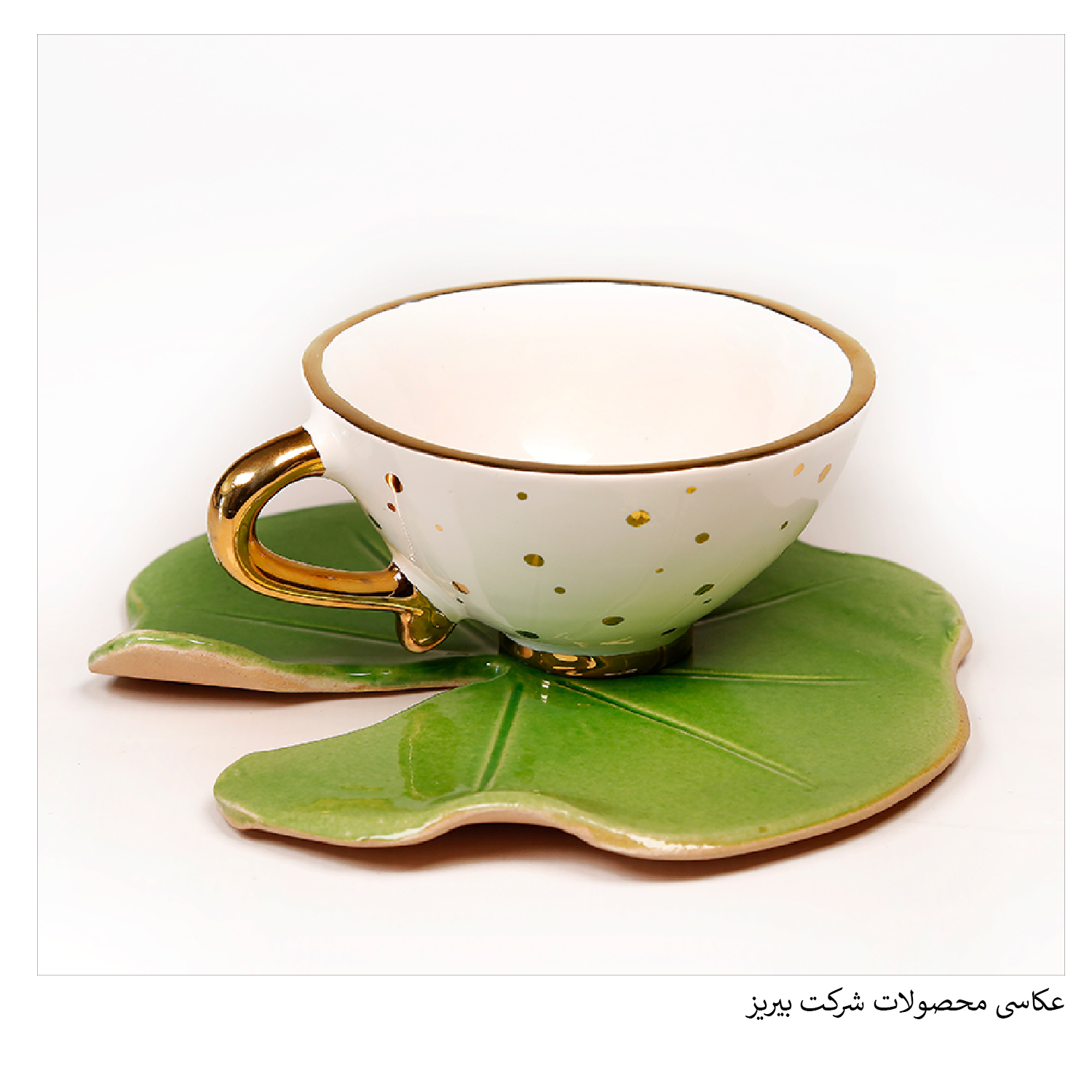 عکاسی محصولات شرکت بیریز