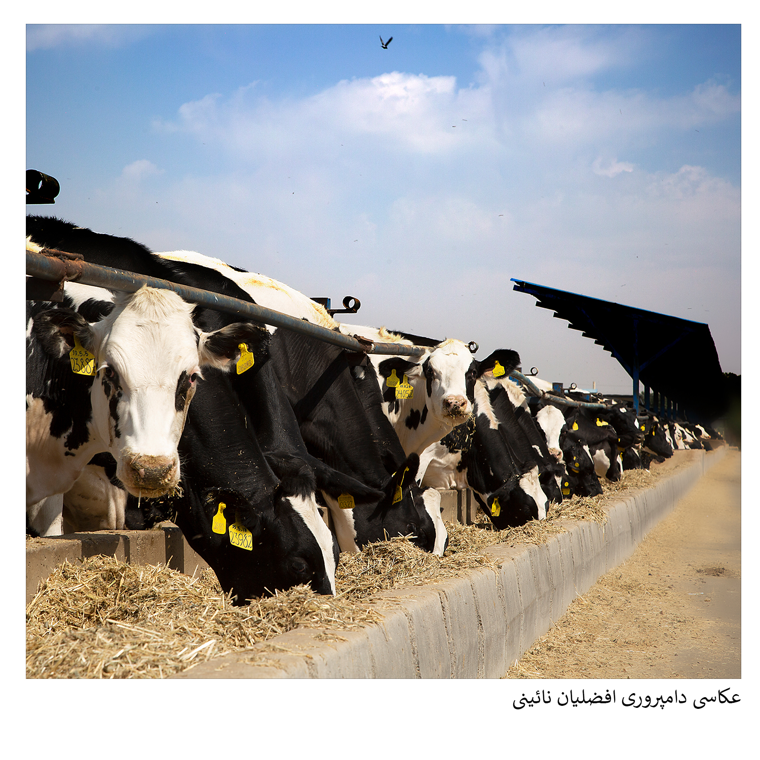 گروه گسترش | آژانس تحقیقات بازار، برندینگ و تبلیغات با ۳۰ سال سابقه | ۰۲۱-۲۲۲۰۲۲۲۰