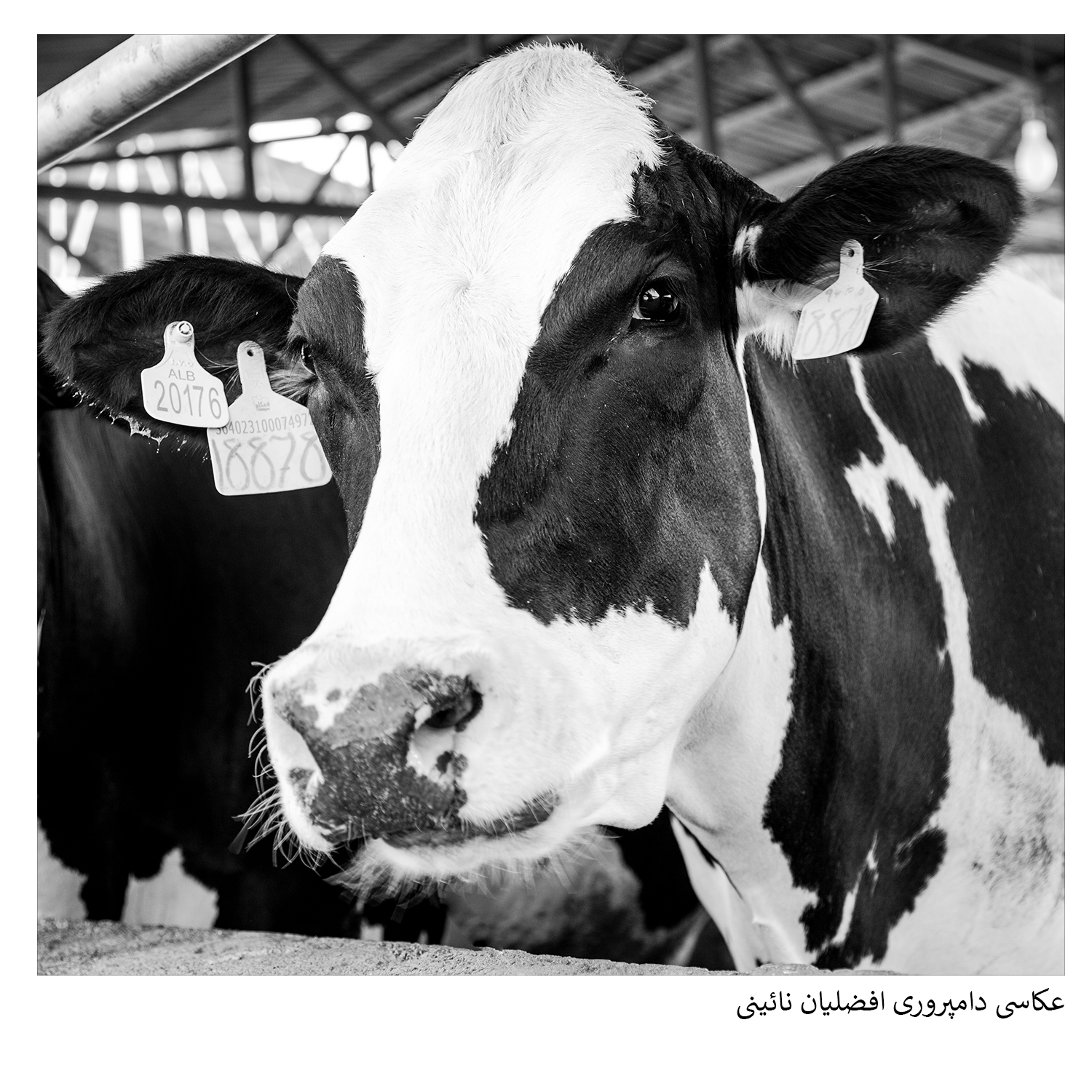 گروه گسترش | آژانس تحقیقات بازار، برندینگ و تبلیغات با ۳۰ سال سابقه | ۰۲۱-۲۲۲۰۲۲۲۰