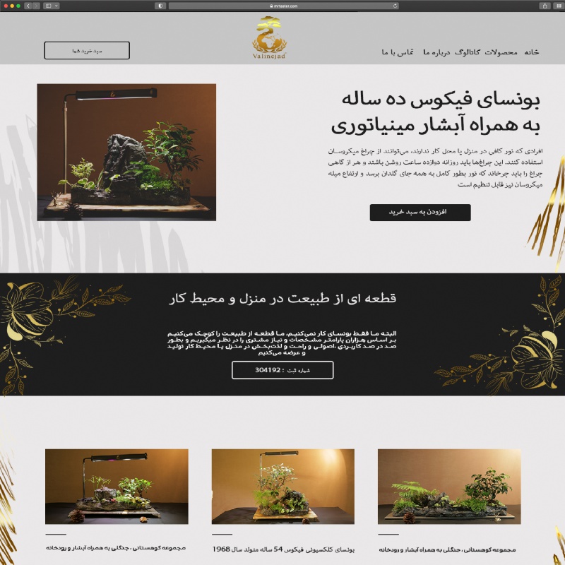 نمونه کار طراحی سایت گروه گسترش